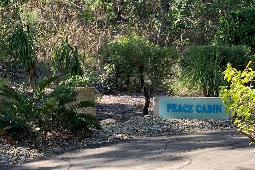 Beachfront Peace Cabin Oak Beach Exterior photo